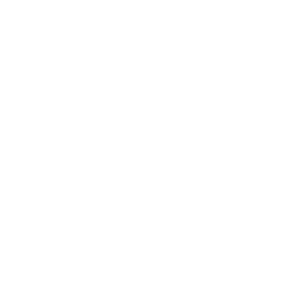 Holding Logo